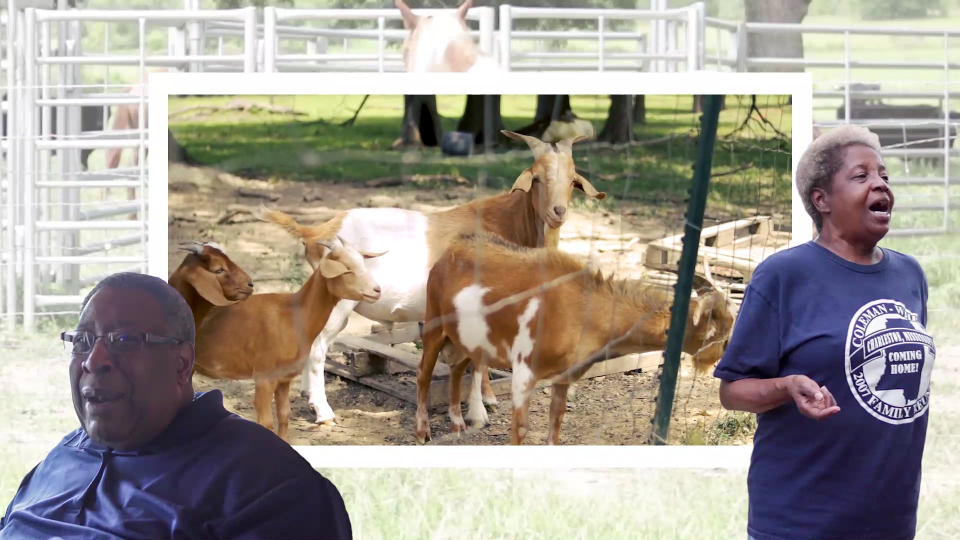 Jubilee Farms | Higher Purpose Co